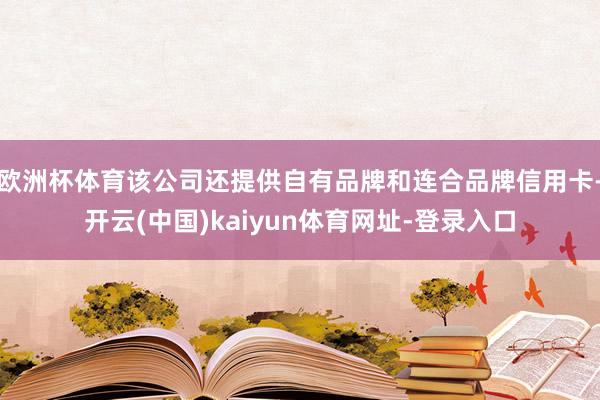 欧洲杯体育该公司还提供自有品牌和连合品牌信用卡-开云(中国)kaiyun体育网址-登录入口