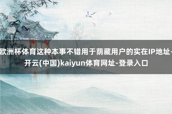 欧洲杯体育这种本事不错用于荫藏用户的实在IP地址-开云(中国)kaiyun体育网址-登录入口