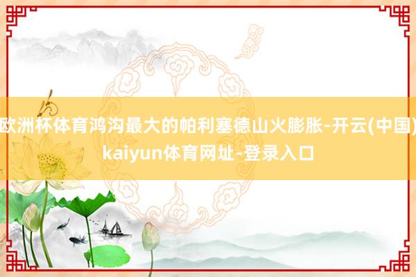 欧洲杯体育鸿沟最大的帕利塞德山火膨胀-开云(中国)kaiyun体育网址-登录入口